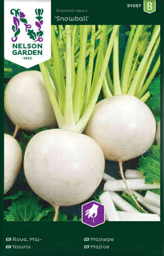 Nauris 'Snowball' Nauris 'Snowball'