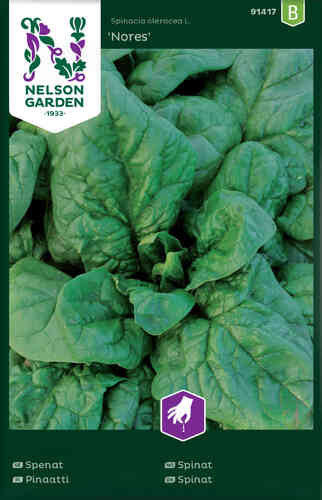 Spenat 'Nores' Spenat 'Nores'