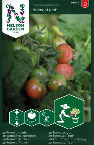 Kruktomat 'Balconi Red' Kruktomat 'Balconi Red'