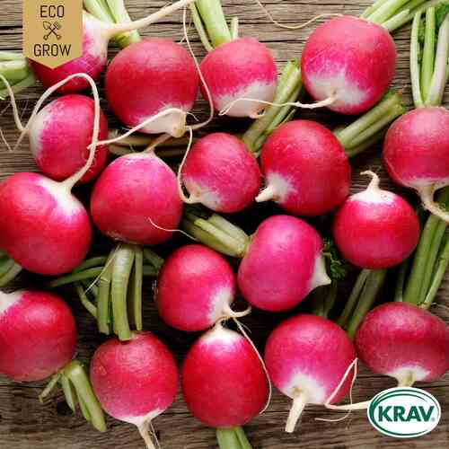 EKO Rädisa 'National 2' EKO Rädisa 'National 2'