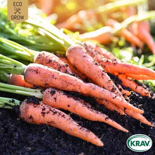 EKO Sommarmorot 'Amsterdam 2' EKO Sommarmorot 'Amsterdam 2'