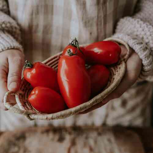 Plommontomat 'San Marzano 2' Plommontomat 'San Marzano 2'