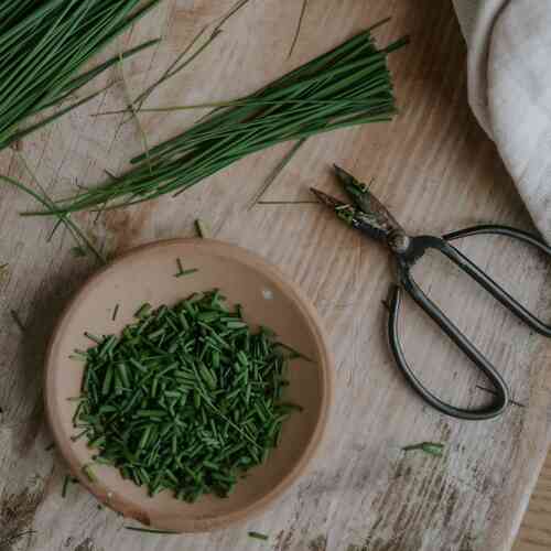 EKO Gräslök 'Medium Leaf' EKO Gräslök 'Medium Leaf'