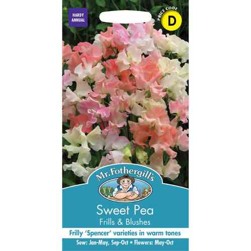 Tuoksuherne 'Frills & Blushes' Tuoksuherne 'Frills & Blushes'