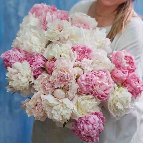 Pionmix Romantic Pionmix Romantic