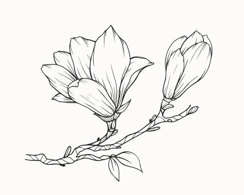 Puut, pensaat ja perennat - kasvatus ja hoito Puut, pensaat ja perennat - kasvatus ja hoito