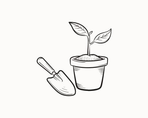 Esikasvatus Esikasvatus