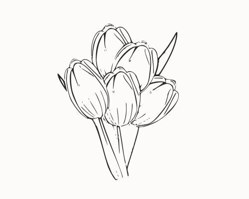 Tulppaanit, narsissit ja muut syksyllä istutettavat Tulppaanit, narsissit ja muut syksyllä istutettavat