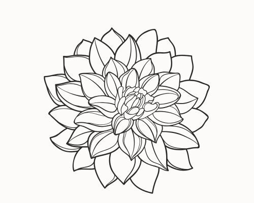 Daaliat - kasvatus, hoito ja vinkit Daaliat - kasvatus, hoito ja vinkit